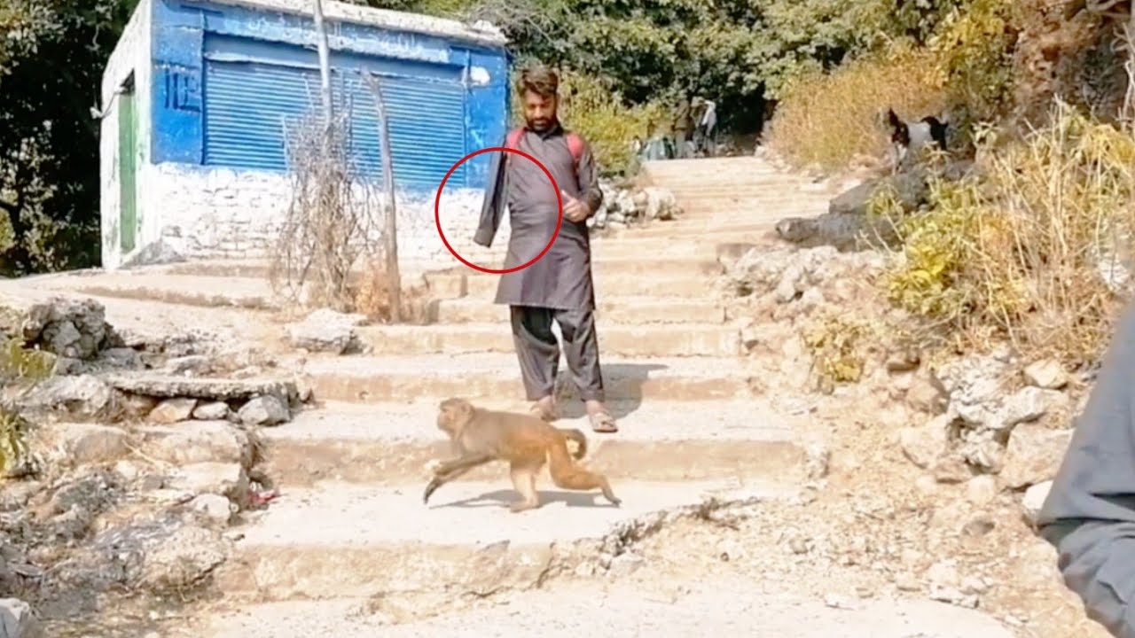 Wildlife Safety Awareness | Protecting Nature and Ourselves