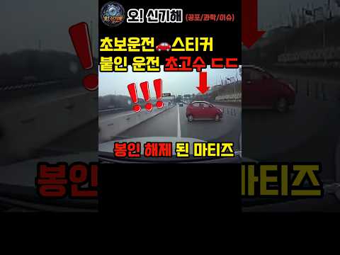 😱초보운전🚗스티커 붙인 초고수 #mystery #science #amazing #issues #신기한사실 #과학쇼츠 #우주지식 #놀라운 #상식 #실험 #놀라운 #shorts #쇼츠