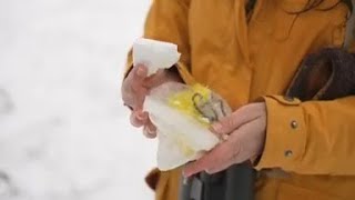Ditt Skrp Blir Fglarnas Heminredning  farligt P Olika Stt  Tv4 Nyheterna  Tv4 U0026 Tv4 Play