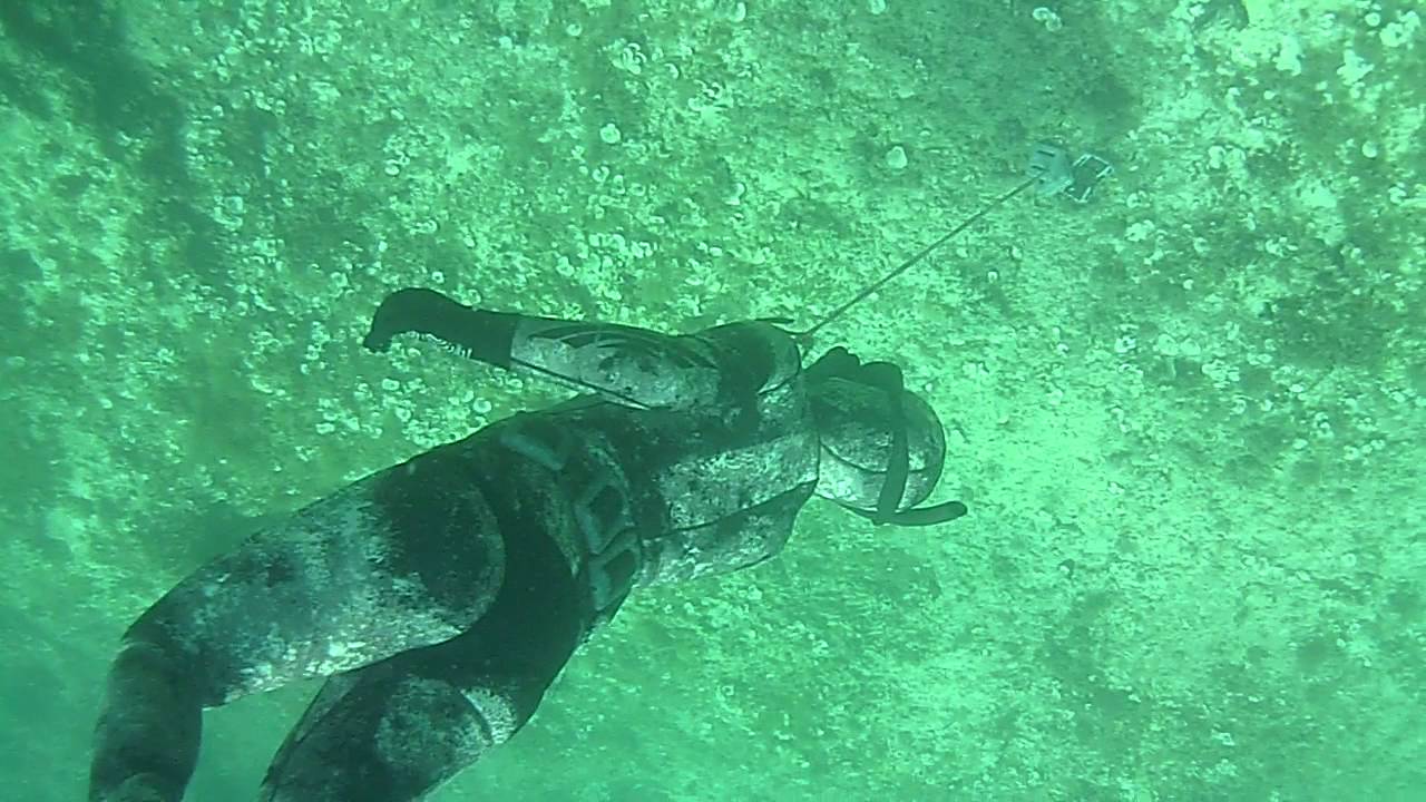 Uscita di allenamento in apnea sul cavo girl-apneist @mar ionio 8-06 ...