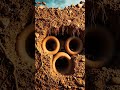Ant Colony: Nature Ka Greatest Engineering Wonder