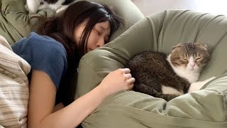 幸せそうに二度寝する猫たちとママ