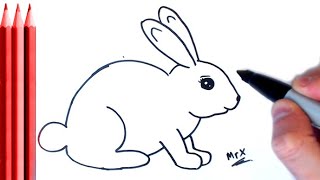 Super Easy/Slow motion  How to Draw Bunny Step by Step Tutorial