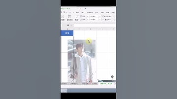 插入图片自动调整大小～wps wps表格 wps表格技巧