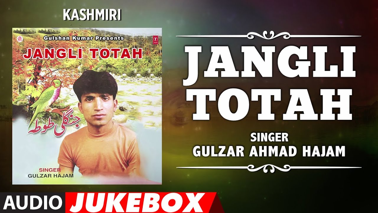  JANGLI TOTAH Audio Jukebox  GULZAR AHMAD HAJAM  T Series Kashmiri Music