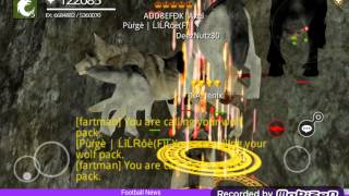 Wolf Online Adventures