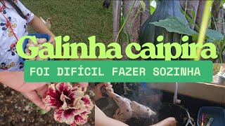 “O que aconteceu com minha pata? Fiz galinha caipira e olha isso!”