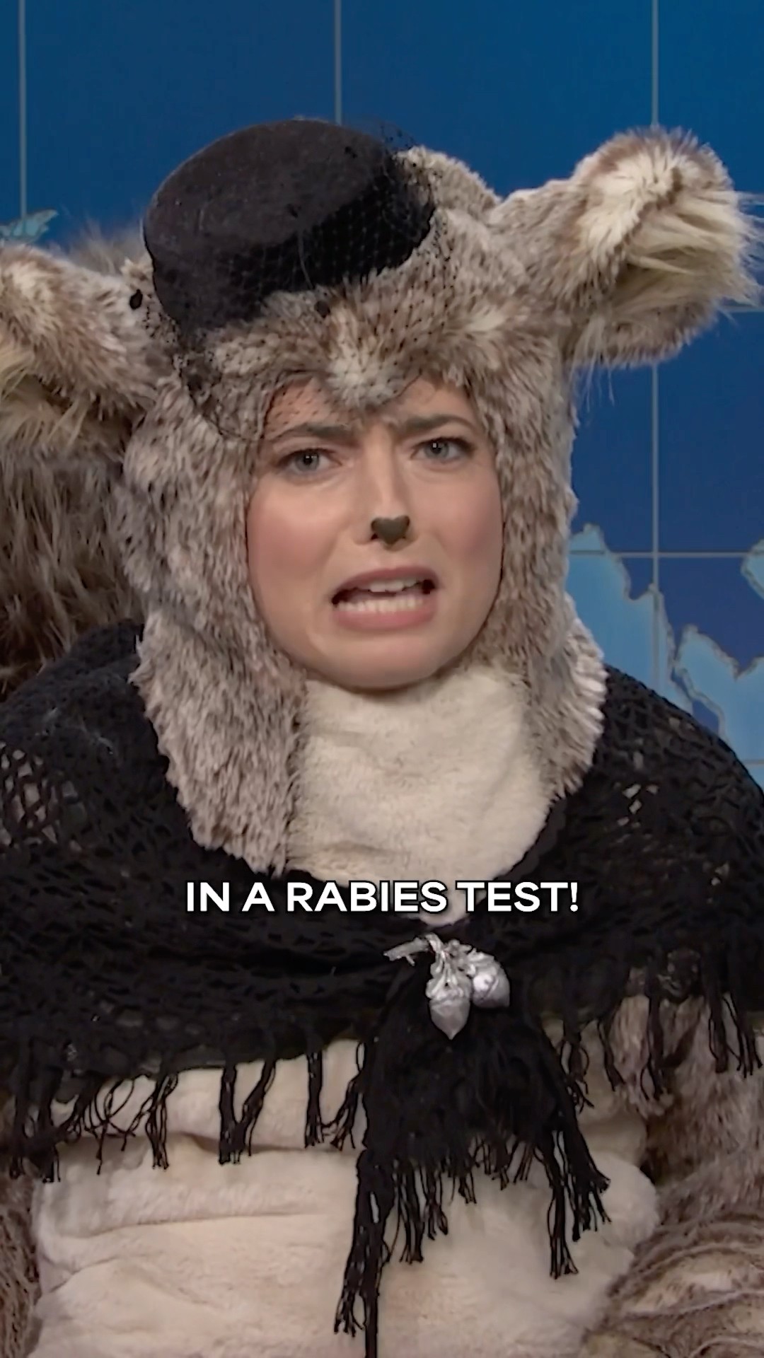 peanut the squirrel’s widow mourns at the desk