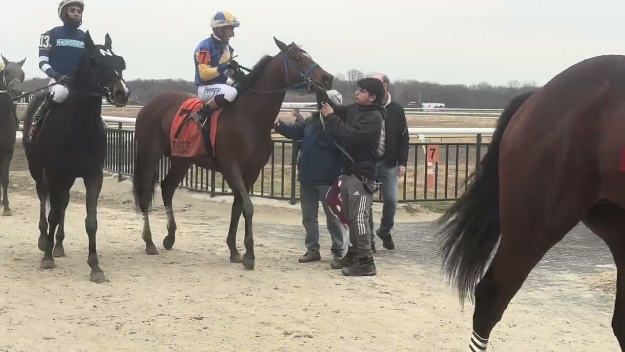Warp Nine & jockey Frankie Pennington won Wednesday’s 9th race going 1 mile