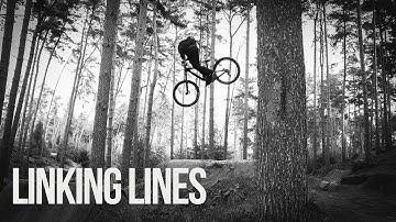 "Linking Lines" Featuring Harrie Scholten