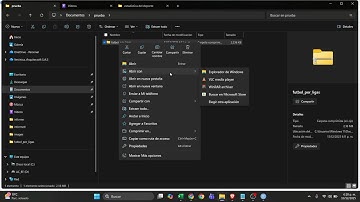 Instalacion de paquetes, librerias y lectura del archivo