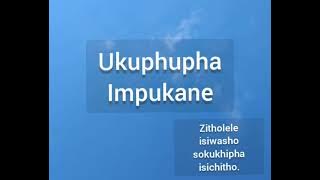 Ukuphupha impukane
