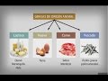 carbohidratos, lípidos y proteínas by Gabo García - YouTube