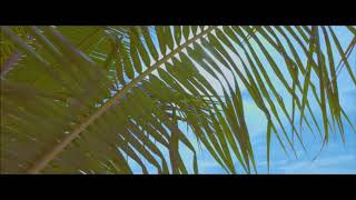 Tragically Beautiful