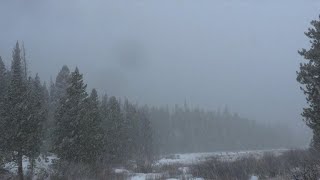 Nature: Rocky Mountain National Park