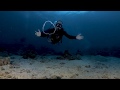 BUBBLE RINGS / Target Practice during Safety Stop / SCUBA DIVING with GoPro Hero7Black