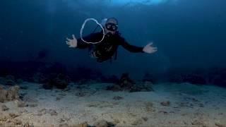 BUBBLE RINGS / Target Practice during Safety Stop / SCUBA DIVING with GoPro Hero7Black by Nico Calo 34,500 views 4 years ago 1 minute