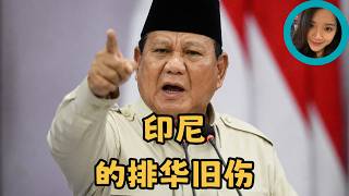 Indonesia's Prabowo obliquely likens China to a "bandit," perhaps panicking because only a decade screenshot 4