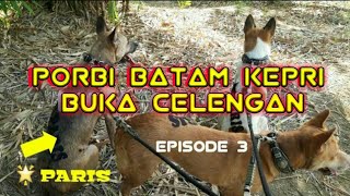 BURU B4BI DI PULAU DURAI | Episode 3 | Basosoh
