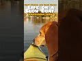 Kayaking to the perfect bath spot (with a beagle)