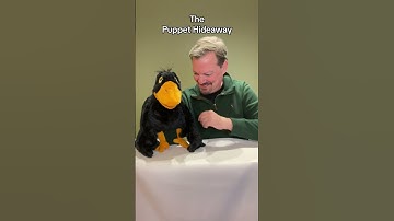 Puppet of the Day - Yellow Beak Crow made by Folkmanis Puppets - The Puppet Hideaway by Eric Thomsen