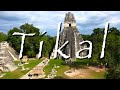 Tikal best mayan ruins travel history
