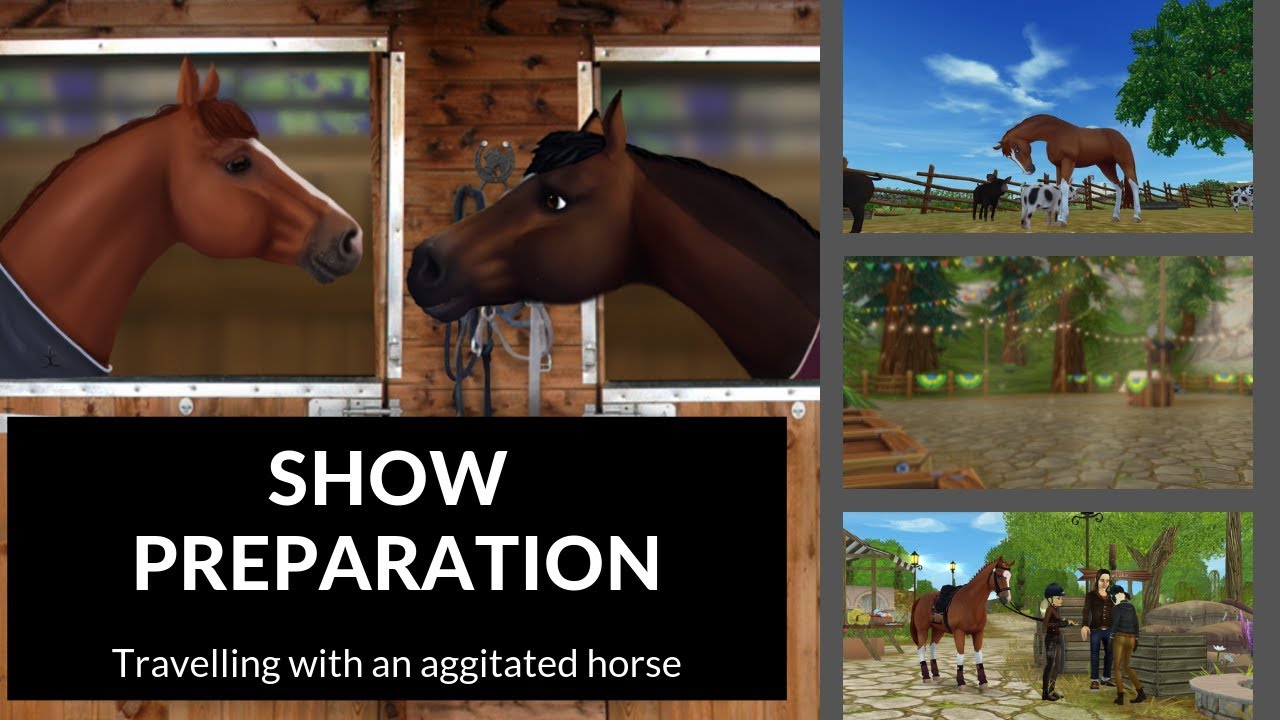 SHOW PREPARATION || travelling with an agitated horse || SSO realistic ...