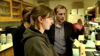 McCormick School of Engineering