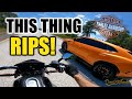 YOU NEED TO TRY AN ELECTRIC MOTORCYCLE!⚡️- 2020 Harley Davidson Livewire First Ride