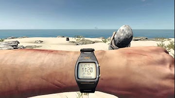 I FOUND WILSON | Stranded Deep