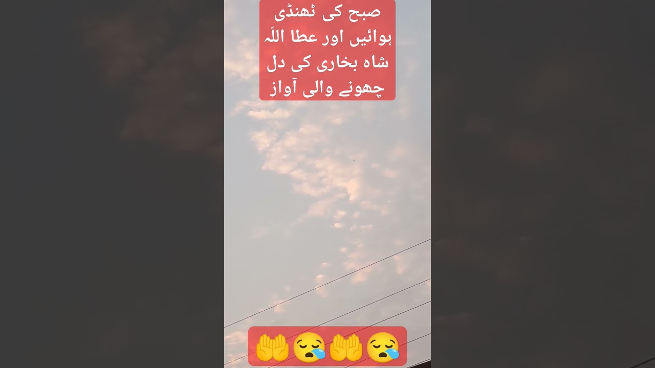 Shining a Light on amazing voice of Attaullah shah Bukhari || Khutba #religion #viral #subscribe