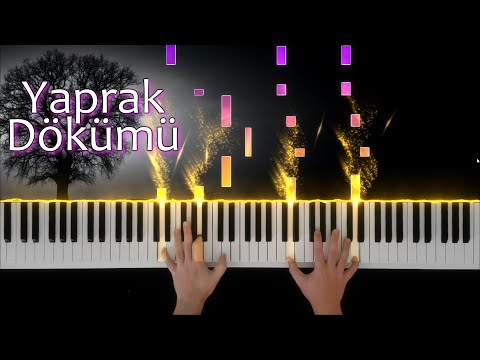 Yaprak Dökümü Koza Fikret Piano Tutorial Easy 4K 