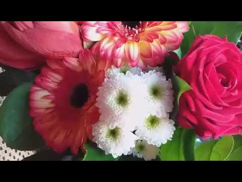 Présentation de ma Chaine - YouTube