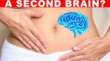 Why You Should ALWAYS Trust Your Gut Instinct...