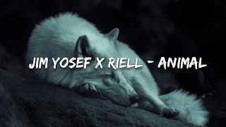 Jim Yosef x Riell - Animal (Lyrics)