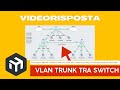 VLAN trunk tra switch MikroTik. Videorisposta alla domanda di Carmelo.