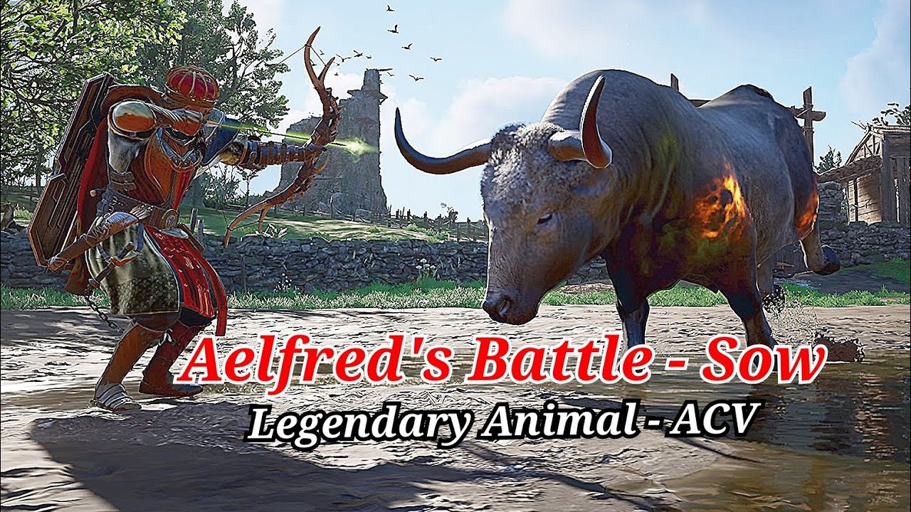 Aelfred's Battle Sow | Assassin's Creed Valhalla | Legendary Animal