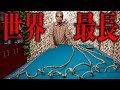 最も長い爪を持つ男、スリドハー・チラル【ギネス世界記録】