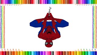 MARVEL SPIDERMAN HANGING UPSIDE DOWN COLORING PAGE - SPIDER-MAN Coloring Book - Avengers Coloring screenshot 4