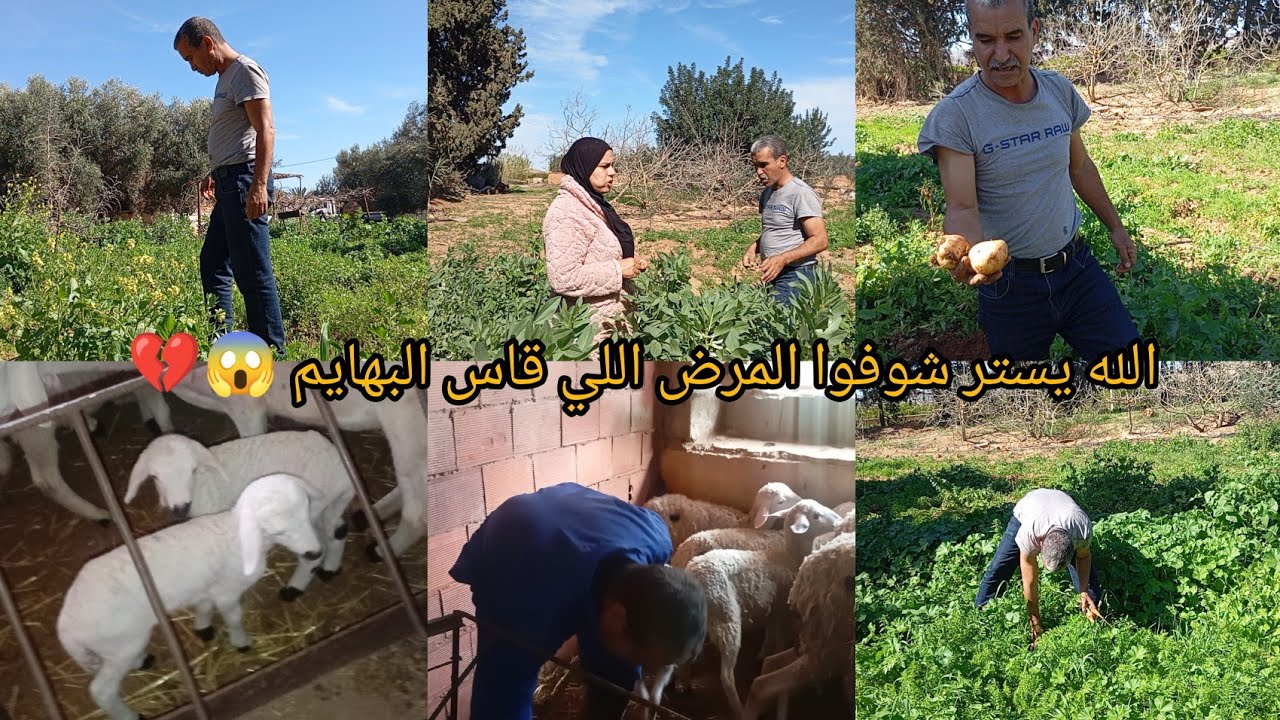 هذا النهار درنا لهم الدواء غير الله يستر وصافي هاد الشيء كيخلع 💔😭