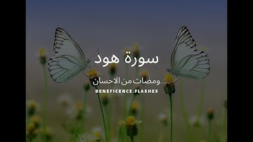 سورة هود Surah Hud