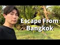 Street food in the city and countryside scenery in Bangkok