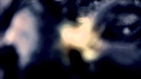 The Spectacular Spider, 2013 Sleek Geeks Science Eureka Prize Secondary 1st