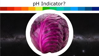 Did you know you can make a pH indicator from red cabbage?