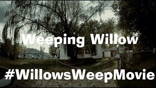Weeping Willow Tree Cursed FEATURE FILM by Orange St Films 8,980 views 4 years ago 1 minute, 1 second