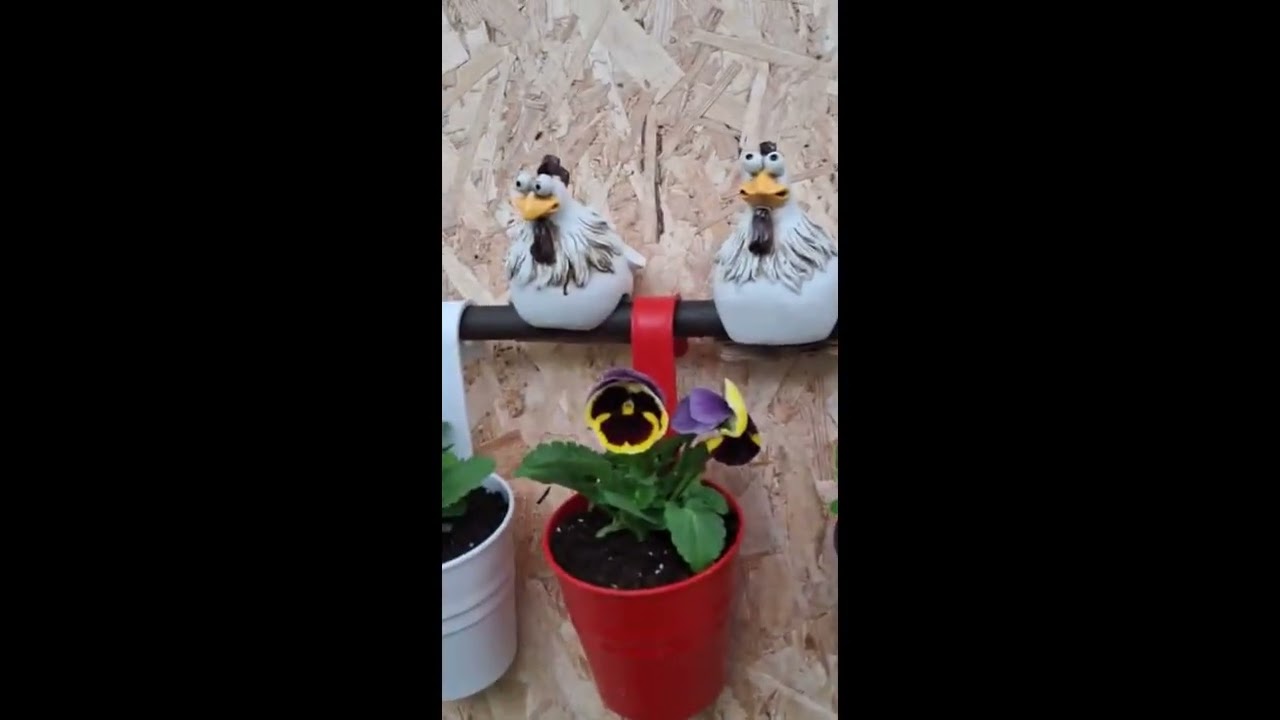 Cool decorative chickens for the garden.