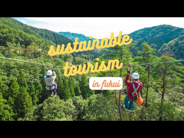Ziplines & Forest Bathing @ Tree Picnic Adventure Ikeda