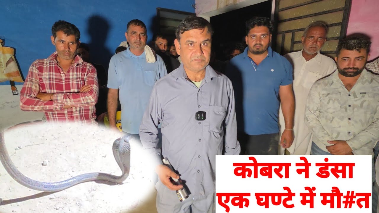इकलौते बेटे को कोबरा ने काटा एक घंण्टे में मौ*त ///स्नेकमैन सतीश( फफडाना)-9255130130