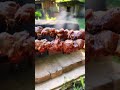 Из печки-шашлык!!!!!     #еда#шашлык#мясо#печка#деревня #природа #rabbit #подпишись