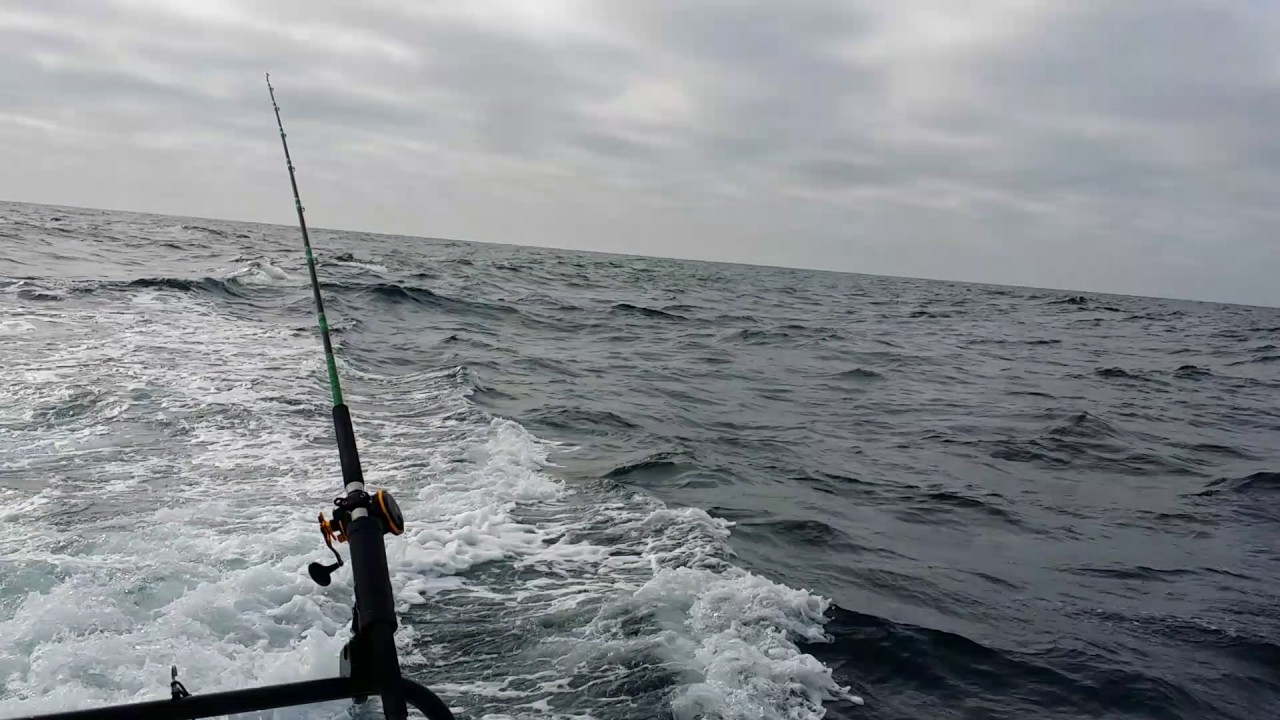 Newport oregon tuna fishing YouTube